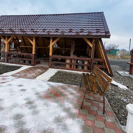 Pensiunea Tavisa Sighetu Marmaţiei Exterior foto