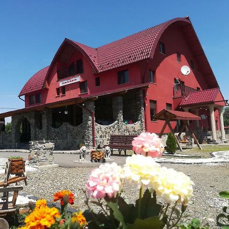 Pensiunea Tavisa Sighetu Marmaţiei Exterior foto